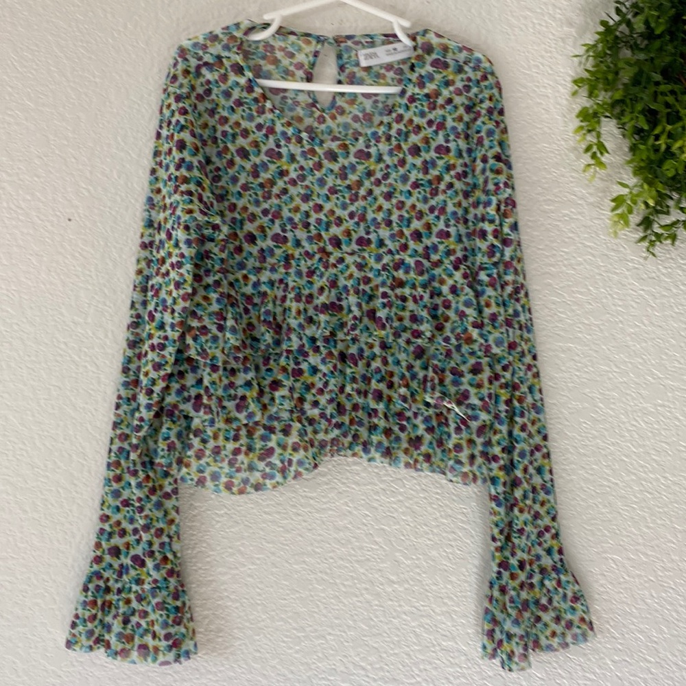 Zara Floral Ruffle Long Sleeve Blouse